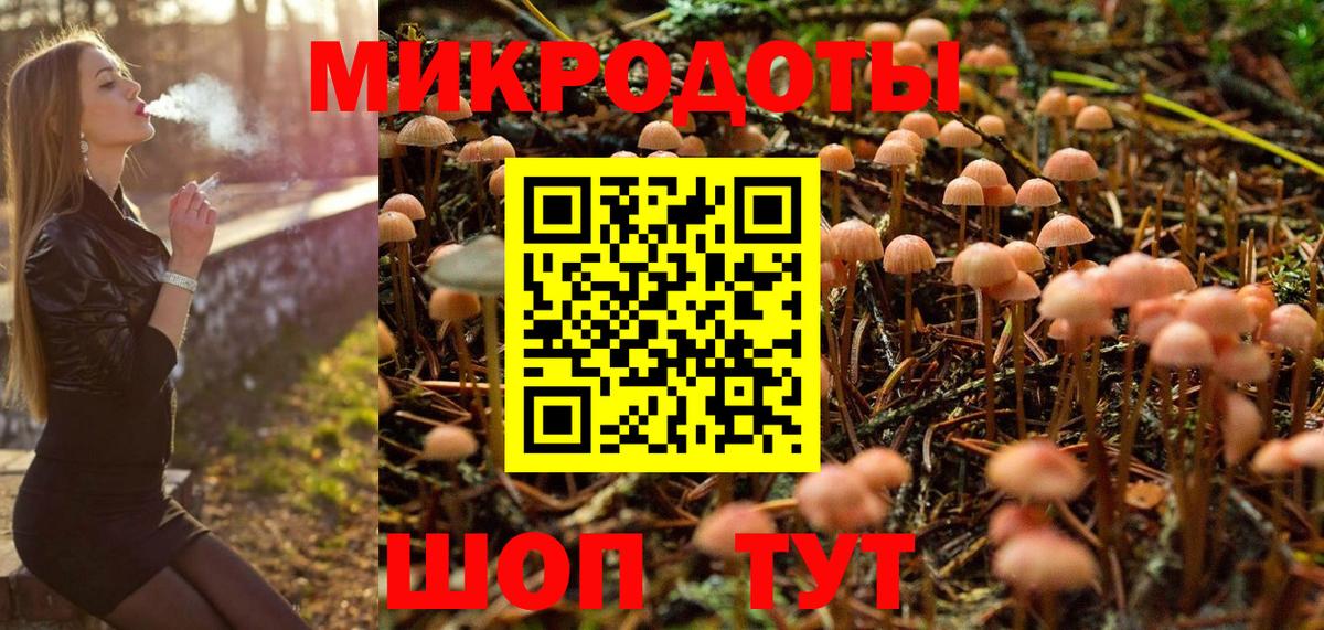 Волжск  наркотики  Вход с VPN  Псилоцибиновые грибы GOLDEN TEACHER 